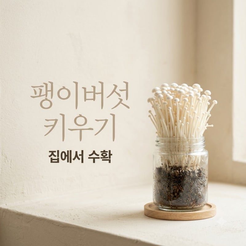 "마트 갈 필요 없네" 300원 팽이버섯 밑동이 일주일 뒤 가져온 반전..