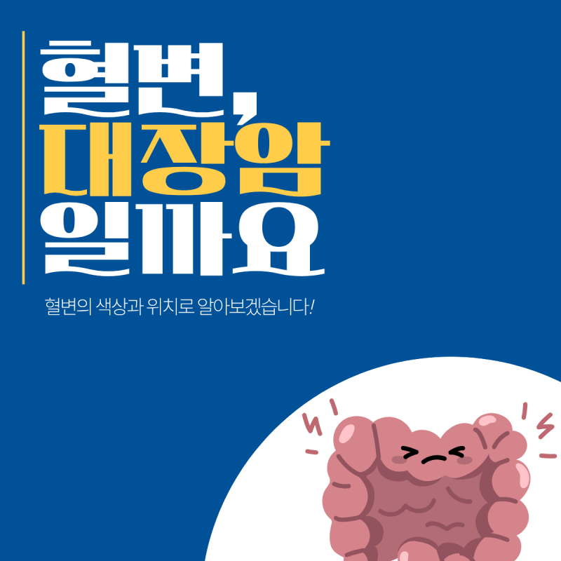 대변에 피가 묻어나왔다면? 혈변 색깔로 보는 원인