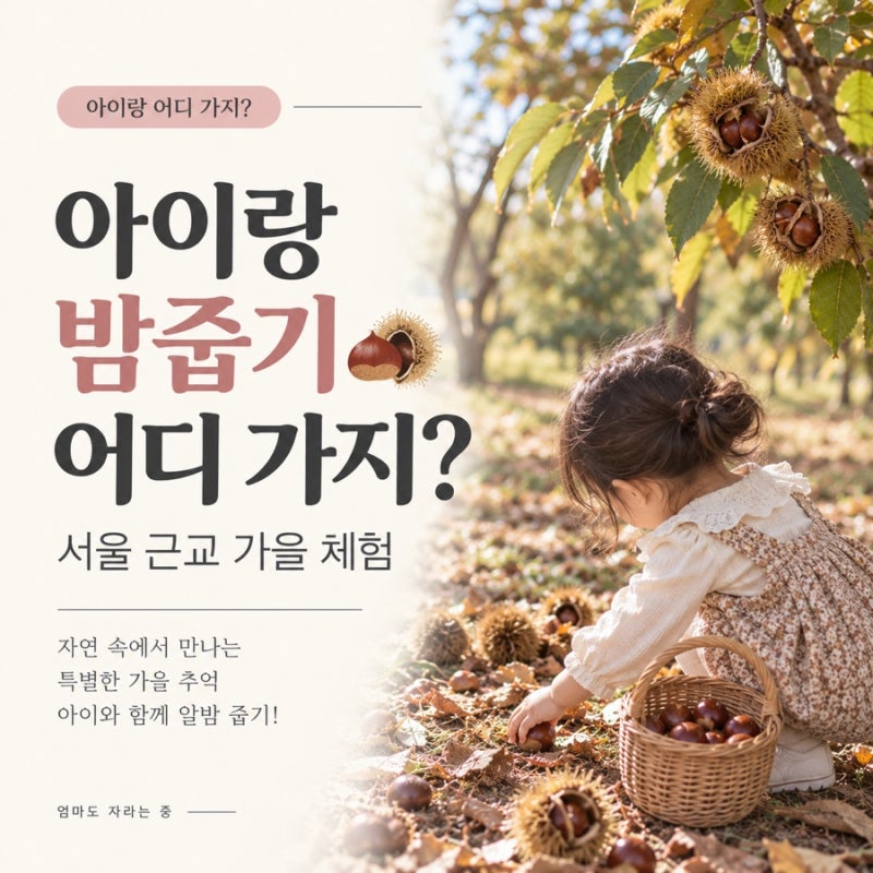 양평 아이랑 밤줍기 어디 가지?｜서울 근교 가을 알밤체험 추천