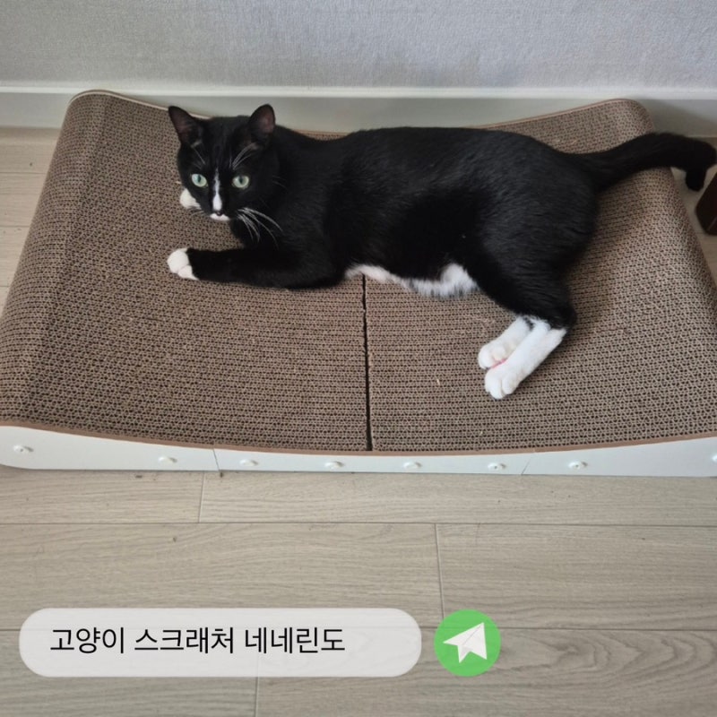 고양이 스크래쳐 네네린도 N번째 사용후기