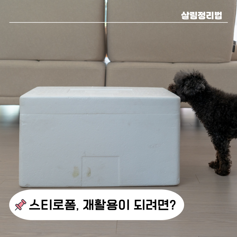 흰색 스티로폼 그냥 버리면 안돼요, 재활용 하려면 3가지 꼭 체크하세요