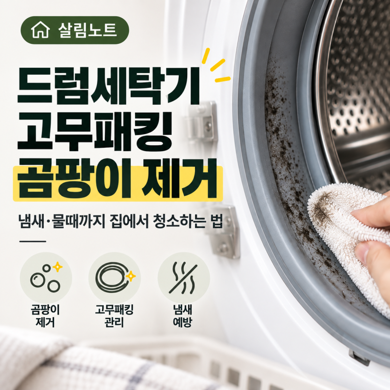 드럼세탁기 고무패킹 곰팡이 제거, 냄새·물때까지 집에서 청소하는 법