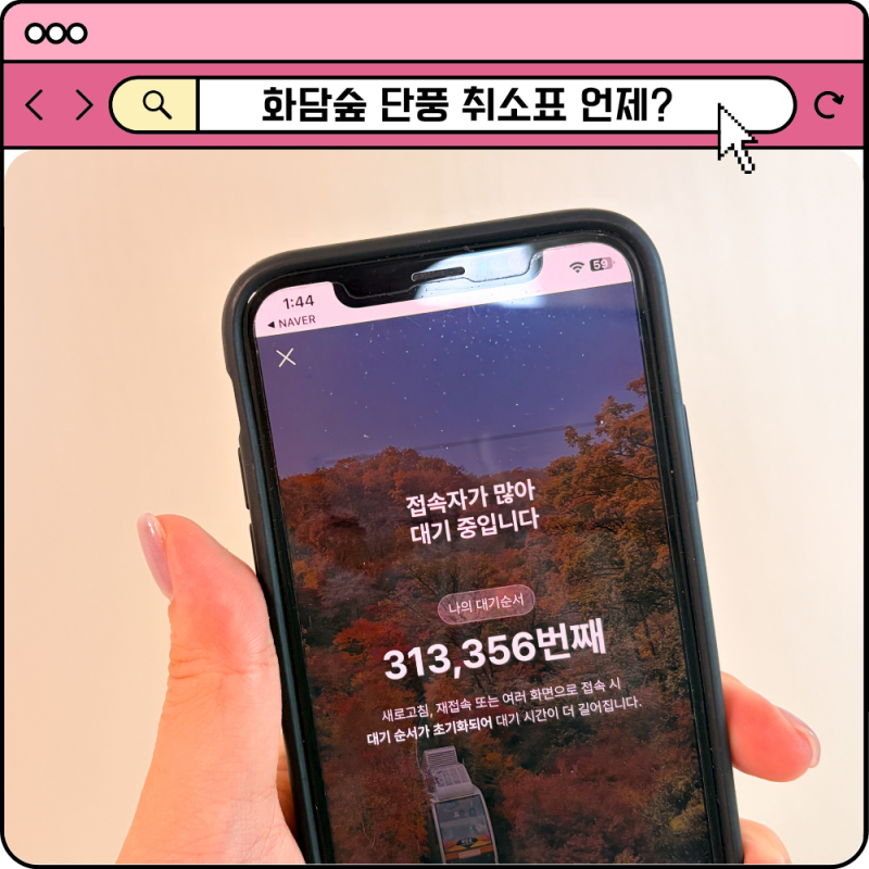 화담숲 예약 튕김 취소표 언제 풀릴까? 가을 단풍 취켓팅 꿀팁
