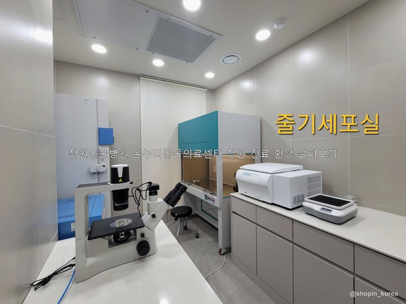창원동물병원 온누리동물의료센터 창원 진료 환경 살펴보기