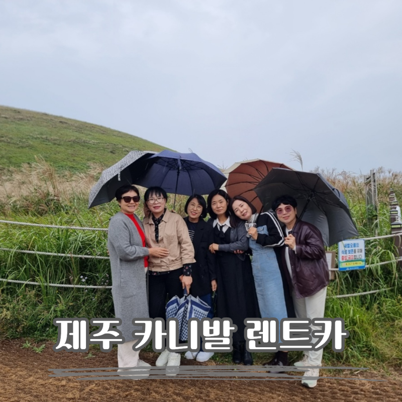제주 카니발 렌트카 기사포함렌트카로 선택한 이유