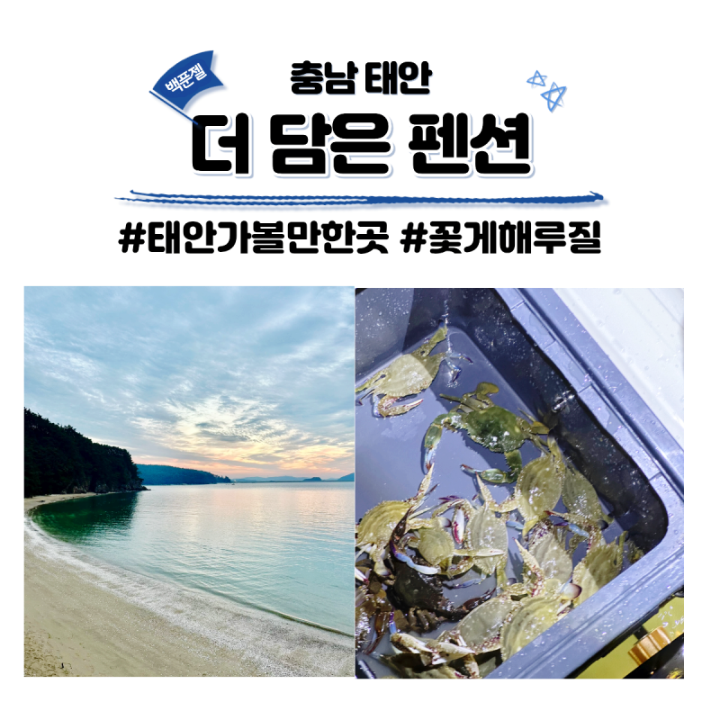 태안 꽃게 해루질 포인트 더담은펜션 서해 해루질 갯벌체험으로 딱 좋아