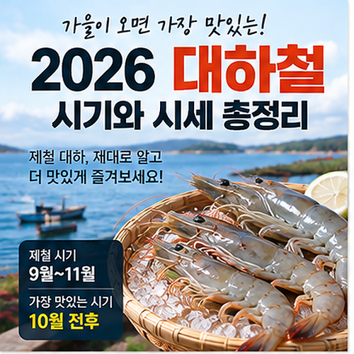 2026 가을 대하철 시기와 시세 총정리! 흰다리새우 구별법부터 소금구이 꿀팁까지