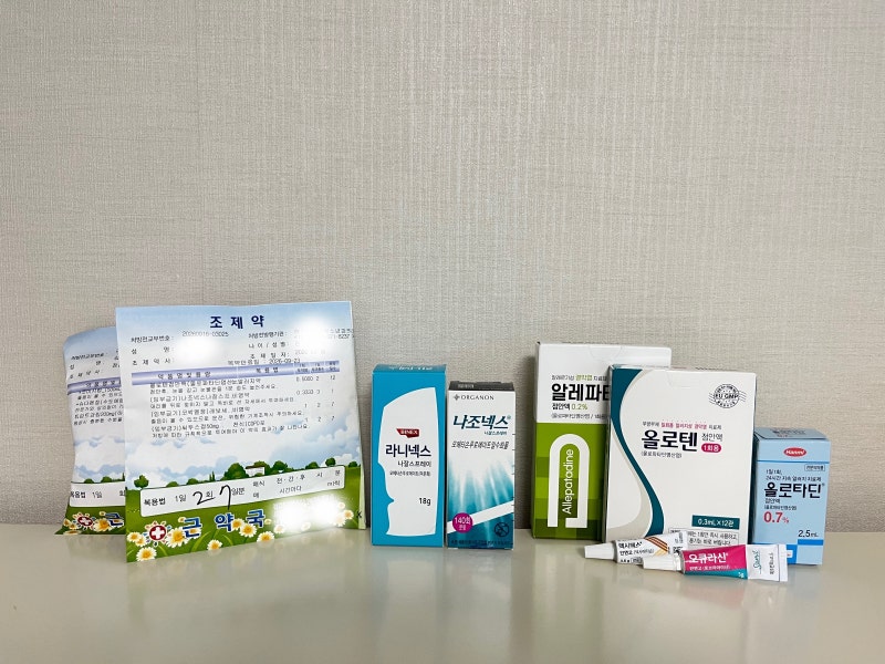 환절기 비염 상비약 추천 / 처방약 vs 약국약