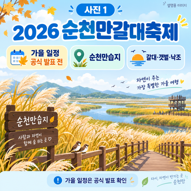 2026 순천만갈대축제 일정 아직 미정｜순천만습지 갈대·칠면초·용산전망대 가을여행
