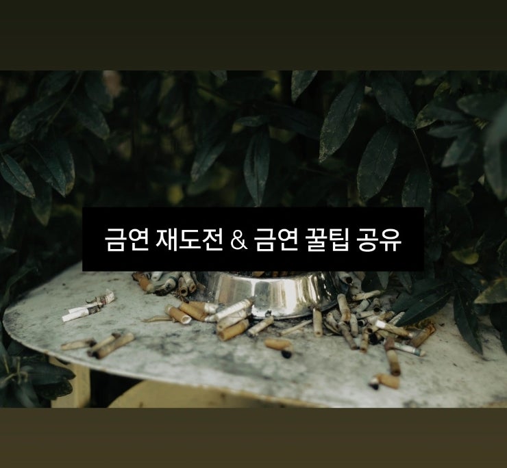 금연실패 ••• 금연 재도전 start & 금연 한번에 성공하는 꿀팁 공유