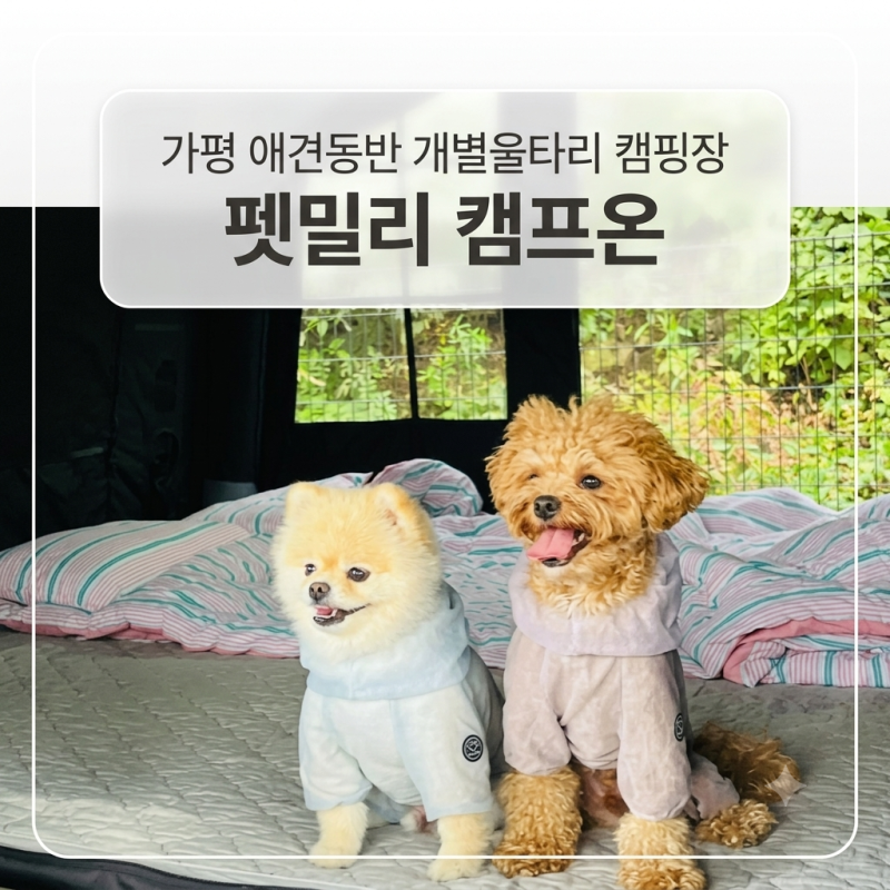 가평개별울타리 캠핑장 펫밀리 캠프온 B7 애견동반 오프리쉬 캠핑 후기