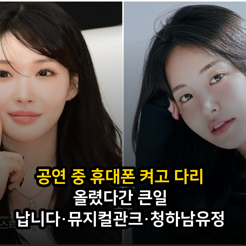 공연 중 휴대폰 켜고 다리 올렸다간 큰일 납니다·뮤지컬관크·청하남유정