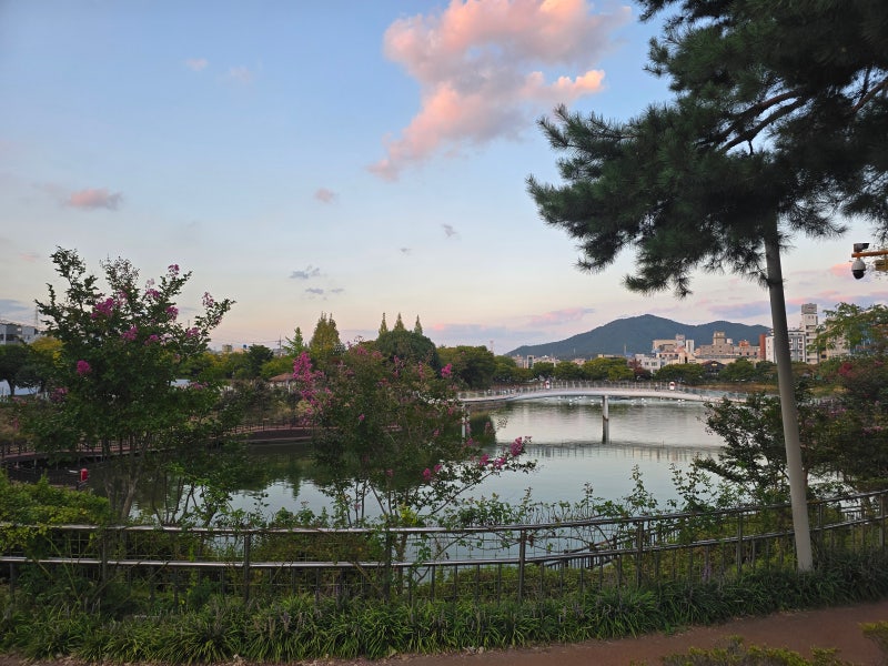 여수 성산공원 산책로 주차 정보 & 밤에 걷기 좋은 야간 코스 총정리