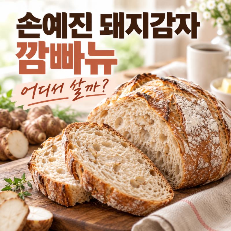 손예진 돼지감자 깜빠뉴 냉부해 아침빵 어디서 살까? 가격·판매처