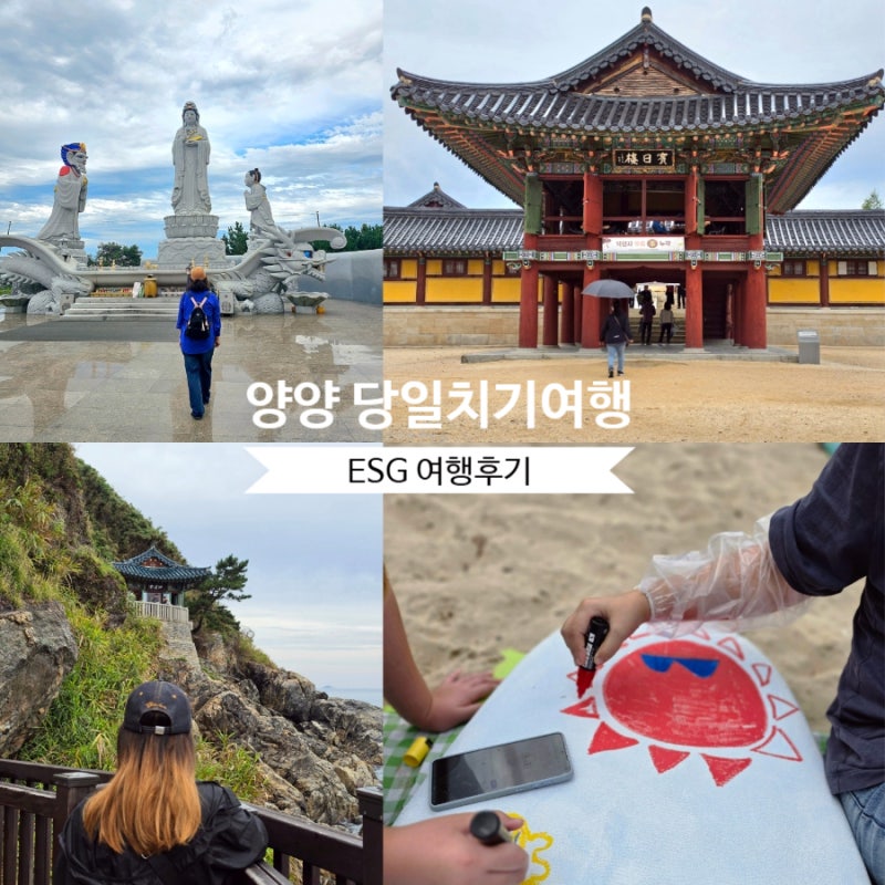 양양 당일치기 여행코스｜낙산사부터 죽도해변·휴휴암까지
