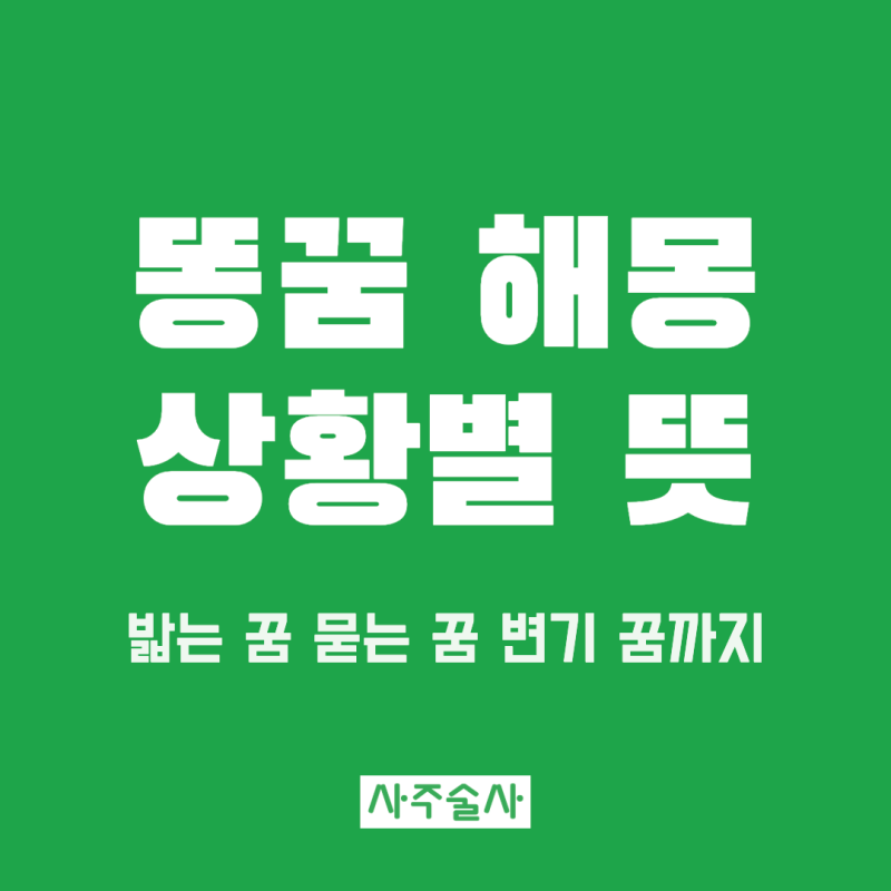 똥꿈 해몽, 똥 밟는 꿈 똥 싸는 꿈 변기 꿈의 뜻 정리