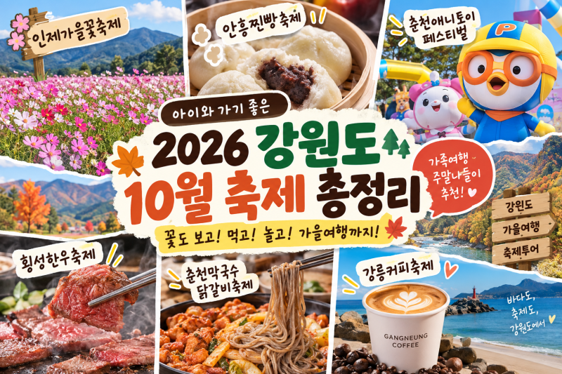 2026 강원도 10월 축제 총정리｜아이와 어디 갈까? 날짜·입장료·볼거리까지