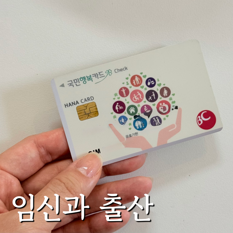 임신 출산 바우처 발급 및 사용처 유산 후 치과 피부과 사용 가능