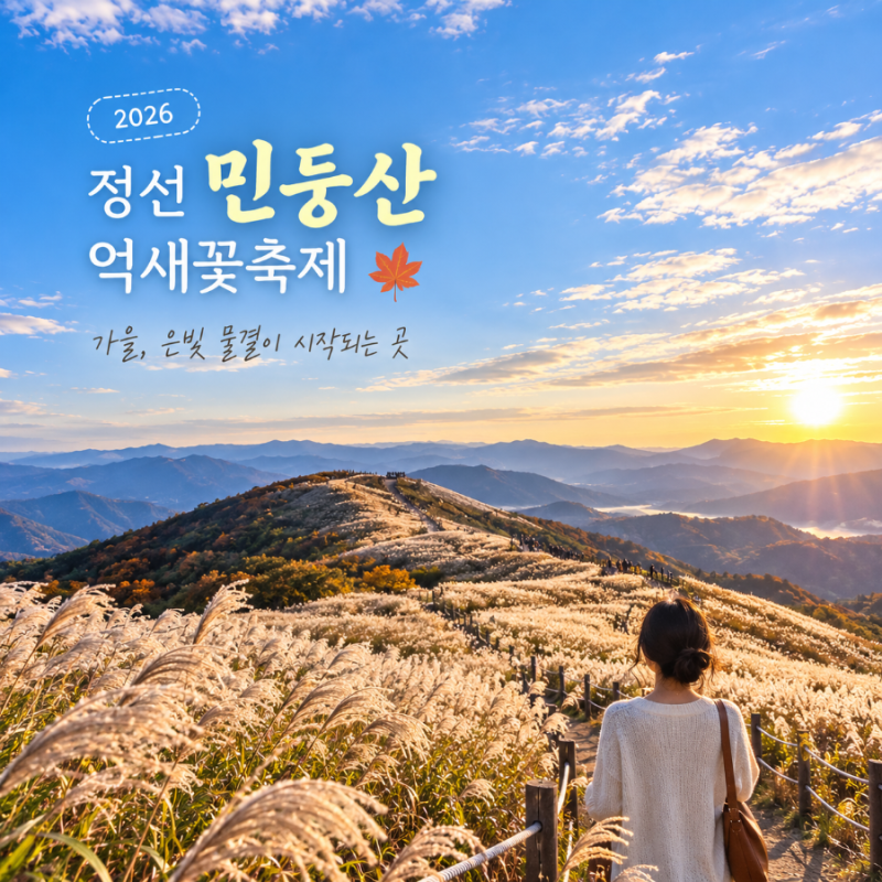 2026 정선 민둥산 억새꽃축제｜은빛 억새 절정 시기·등산코스·셔틀버스 총정리