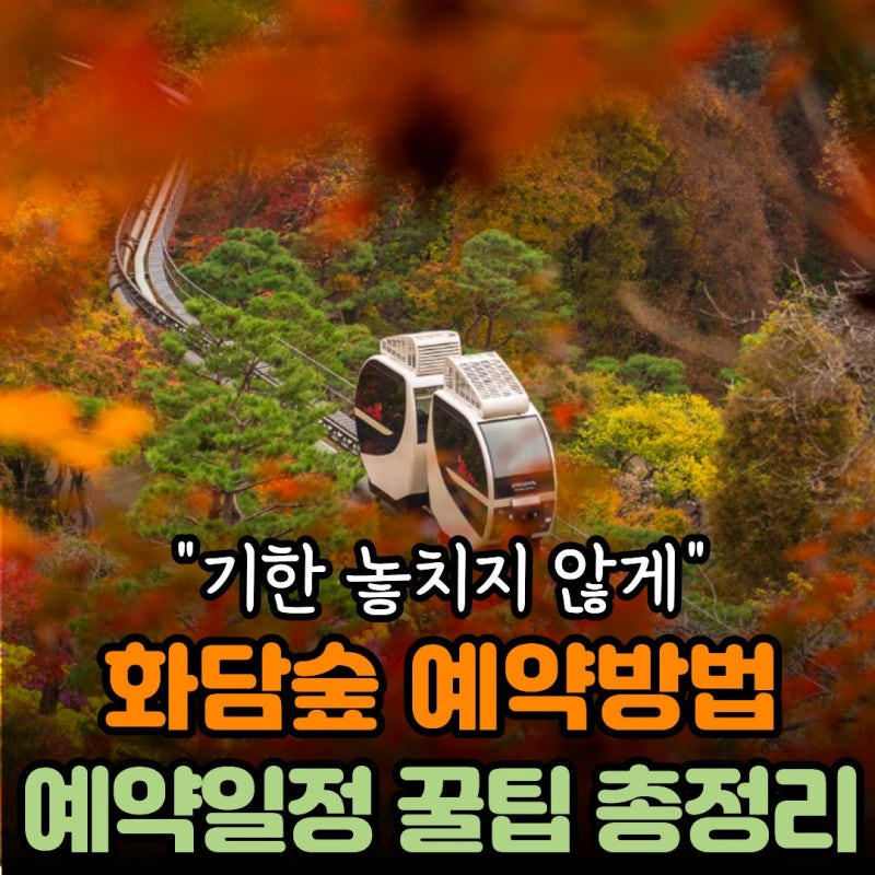 화담숲 예약방법 오픈날짜 예매일정 예약꿀팁 총정리 모노레일까지 한번에