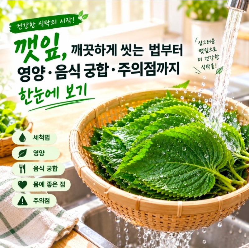 깻잎 세척법. 깻잎 깨끗하게 씻는법부터 영양, 음식 궁합, 주의점까지