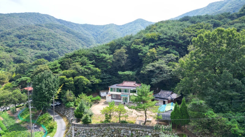 공주 계룡산 전원주택 매매｜깊은 숲이 감싸는 446평, 옛 법당이 남아 있는 특별한 집