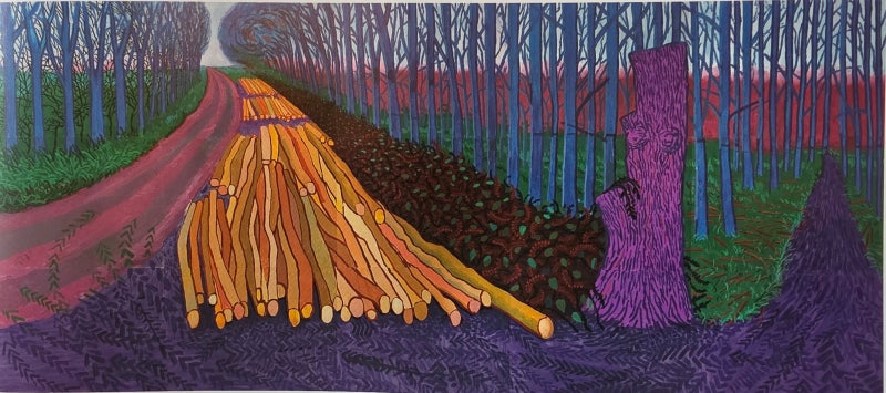 DAVID HOCKNEY 이제, 그림으로 살다