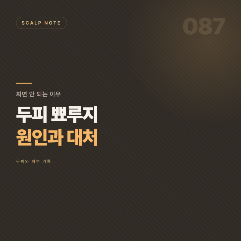 두피 뾰루지 원인과 대처 — 짜면 안 되는 이유