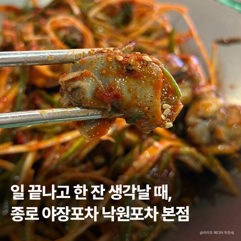 종로포차 을지로 낙원포차 본점 골뱅이 우동 맛집