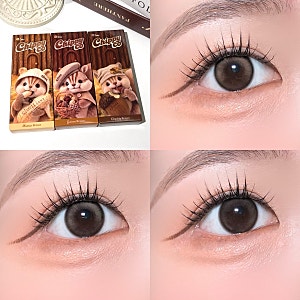 [Chuu LENS] 츄렌즈 신상 치피코 원데이 전 색상 착용샷 넛넛브라운, 기니브라운, 칩칩브라운 후....