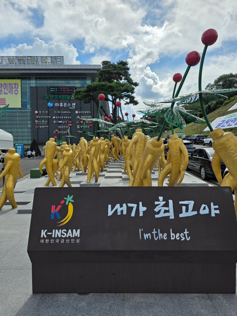 2026 제44회 금산인삼축제 기본정보 주차 기간 아이랑 가기 좋은 축제