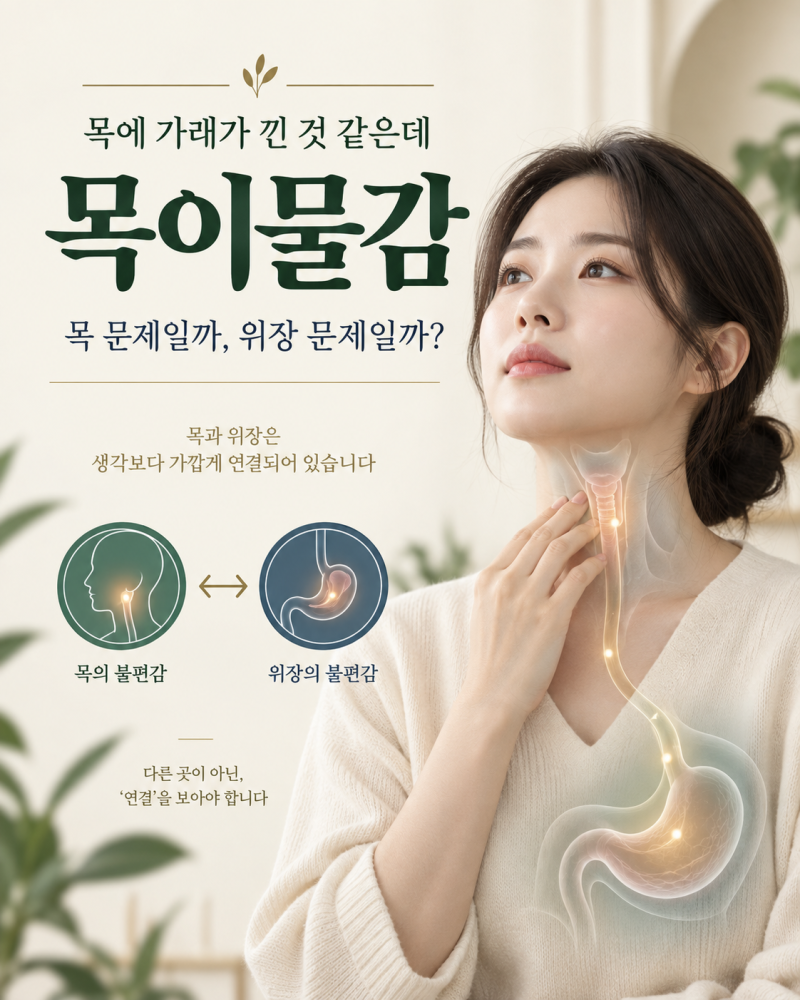 목이물감과 가래 낀 느낌, 이비인후과 문제일까요 위장 역류일까요?