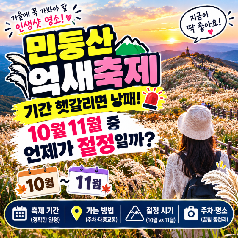 민둥산 억새축제 기간 헷갈리면 낭패, 10월 11월 중 언제가 절정일까