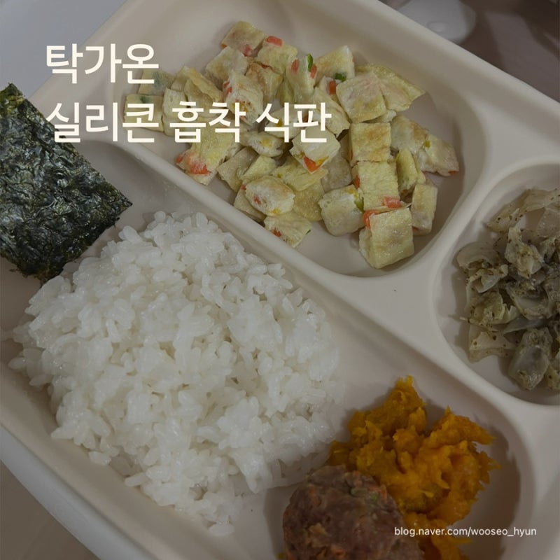 : 탁가온 흡착 식판 3구 1구 _ 토핑볼 롱볼 _ 토핑 이유식 유아식 실리콘 흡착 식판