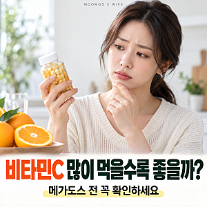 비타민C효능 메가도스 부작용 정리