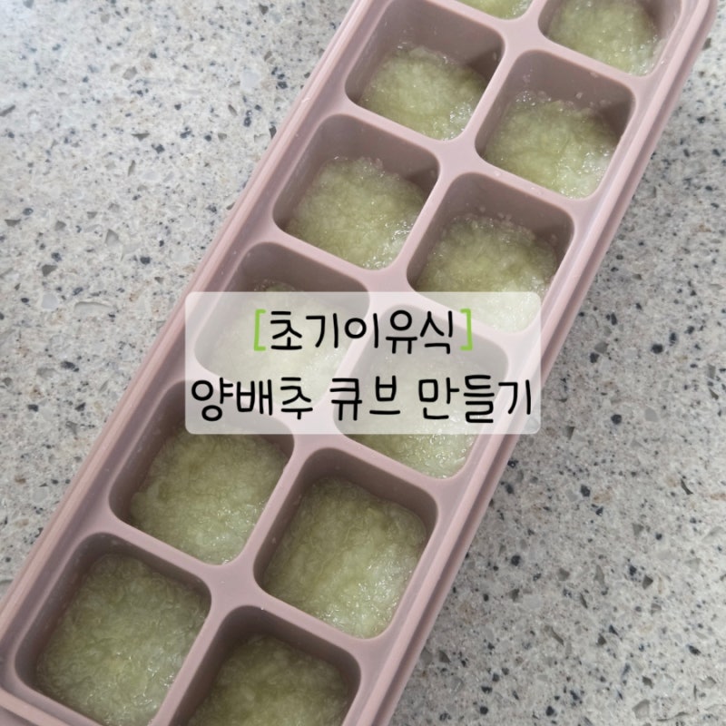 초기이유식 양배추 큐브 만들기|전자레인지 찜기 사용 토핑이유식