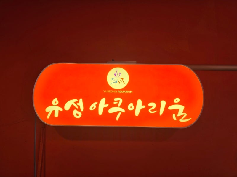 대전이색카페유성아쿠아리움 무인카페 24