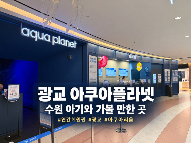 수원 아기와 가볼 만한 곳 | 광교 아쿠아플라넷 연간회원권 후기
