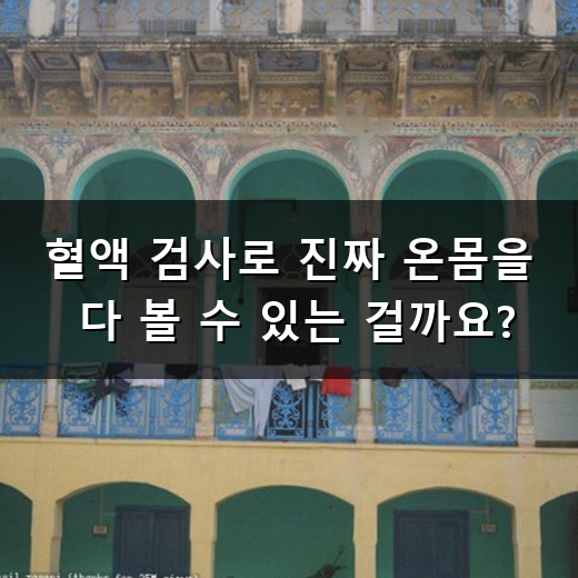 건강검진 때마다 피 뽑는 거 왜 이렇게 떨릴까? 혈액 검사로 알 수 있는