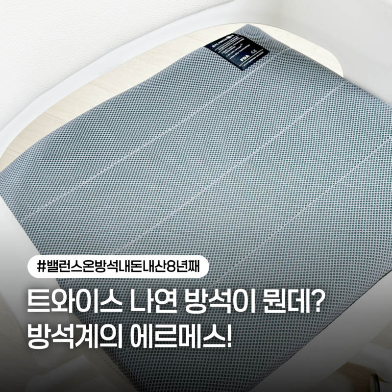 사무실의자방석 하나 바꿨을 뿐인데? 밸런스온 방석 내돈내산 솔직후기