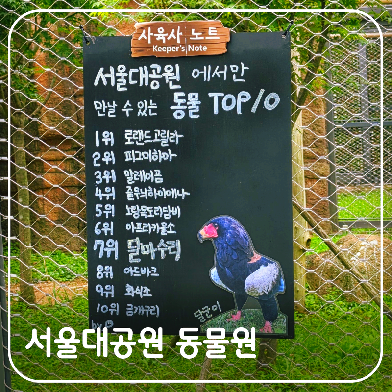 서울대공원 동물원 테마별 관람 코스 4선 & 생태설명회 시간표 및 위치 한눈에 보기