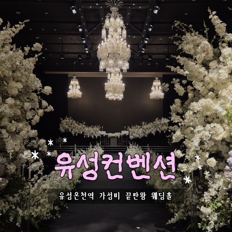대전 유성컨벤션 웨딩홀 홀투어 | 리모델링 후 달라진 그랜드홀·뷔페·27년 하반기 견적 공유