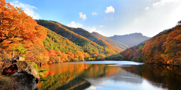 단풍만 보고 오기 아깝다, 가족과 하루 보내기 좋은 청송 가을여행 3곳