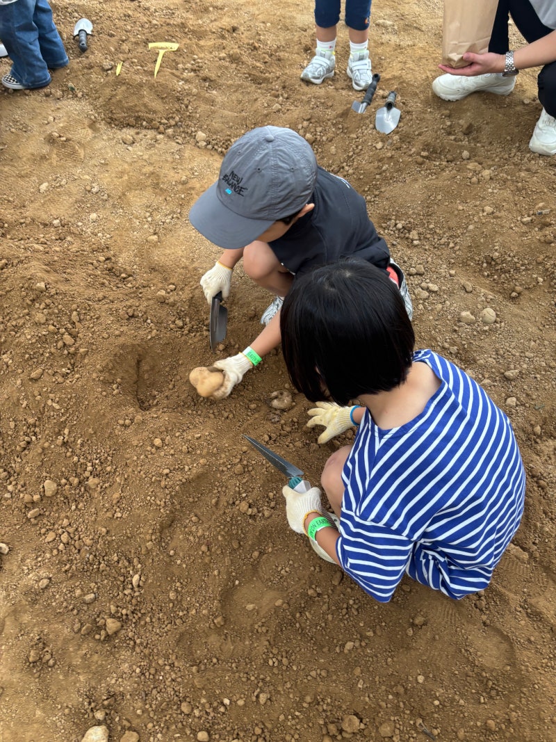 경기도 용인가볼만한곳_아이와 주말나들이_동물먹이주기 감자수확체험 키즈존(에어바운스/....
