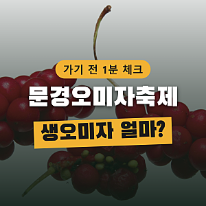 문경오미자축제, 생오미자 가격과 오미자청 요령