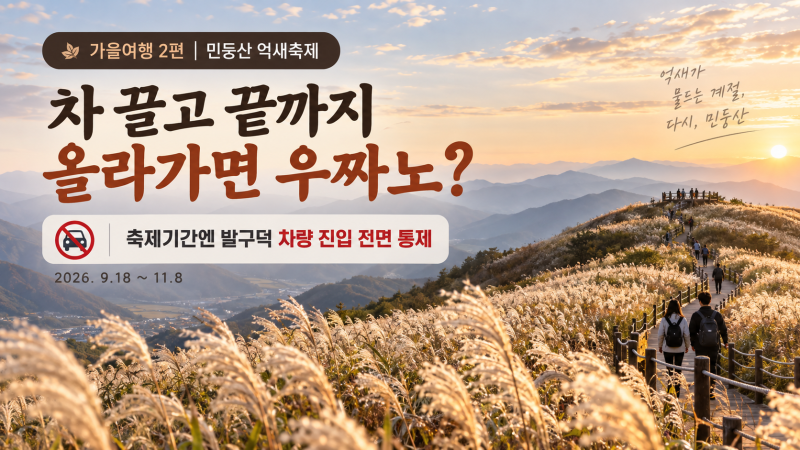민둥산 억새 보러 차 끌고 끝까지 가면 우짜노…축제기간 전면통제 ft 민둥산억새축제