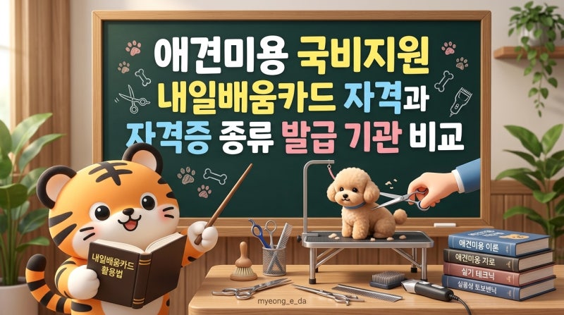 애견미용 국비지원 내일배움카드 자격과 자격증 종류 발급 기관 비교