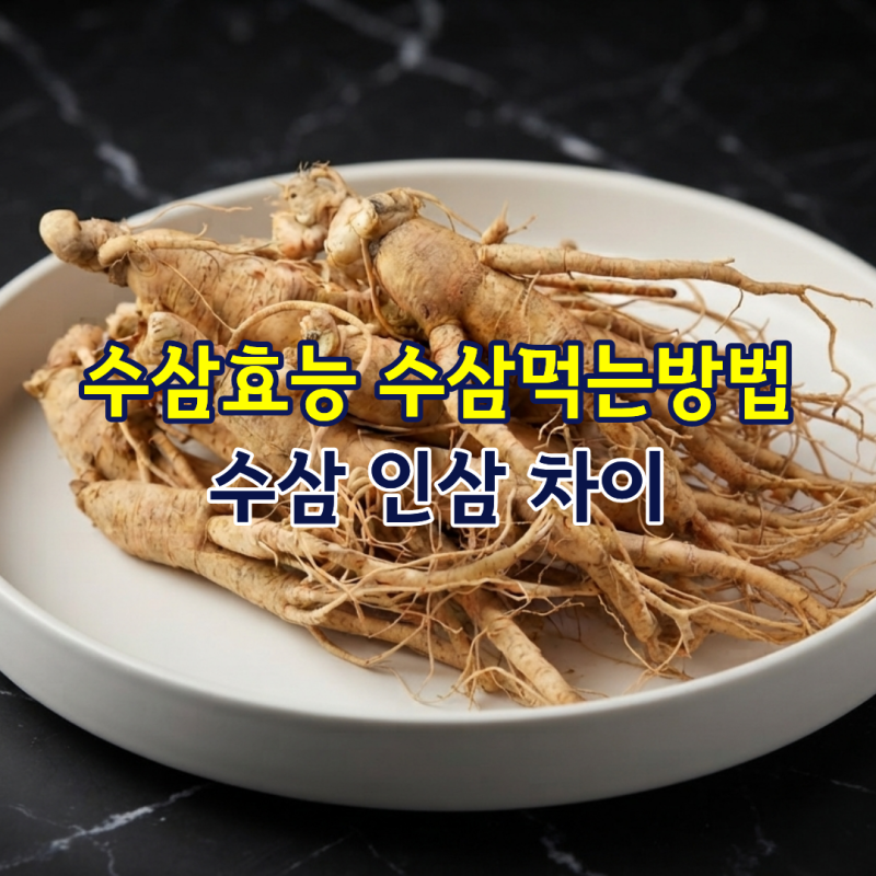 수삼효능 수삼먹는방법 인삼 차이