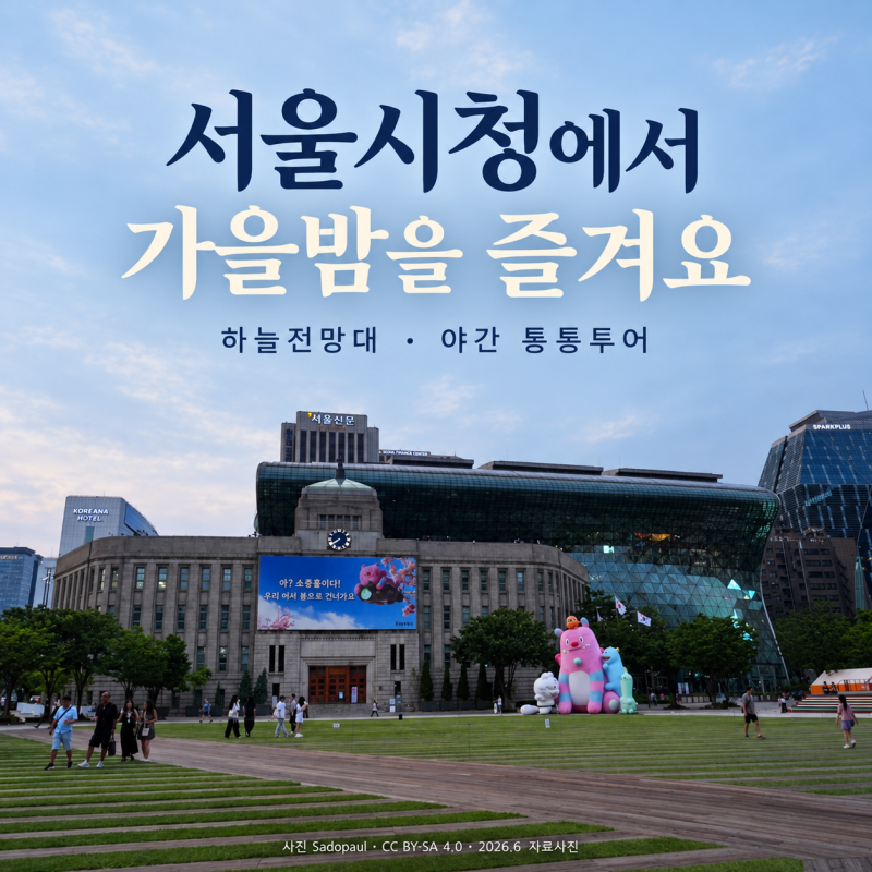 서울시청 전망대에서 즐기는 가을밤, 무료 야경에 야간 통통투어까지