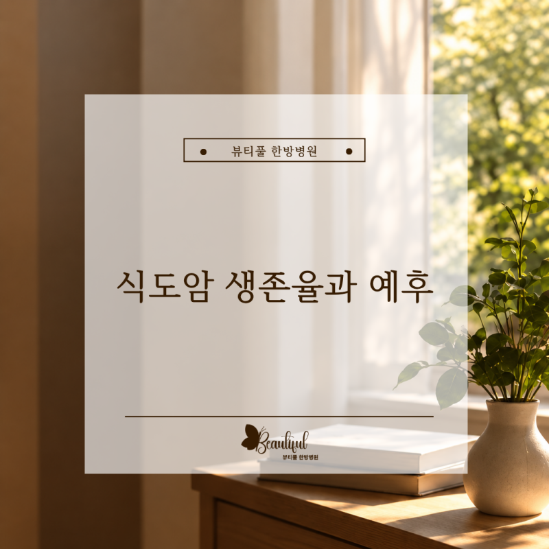 식도암 생존율과 1기·2기·3기·4기 병기별 예후